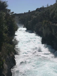 IMG_20200315_120516.jpg